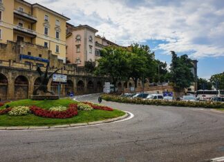 Contributi per alberi in città, via libera con il decreto al bando