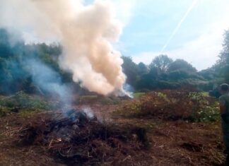 Incendi boschivi: la Regione Toscana proroga i termini: vietato accendere fuochi fino al 13 settembre