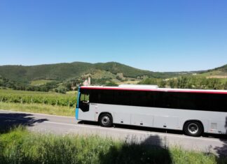 Servizi extraurbani: da domani variazioni di orario per alcune corse delle linee LS9, LS2 e LS3