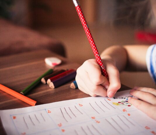 Scuola, avviata la pubblicazione delle graduatorie dei supplenti: le nomine entro il 14 settembre. Insensato parlare di caos: su oltre 1,9 milioni di domande pochissime segnalazioni, tutte in via di risoluzione