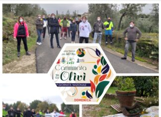 Castiglion Fiorentino non ha rinunciato alla “Camminata tra gli Olivi”. Nonostante la pandemia molte persone hanno partecipato all’iniziativa.