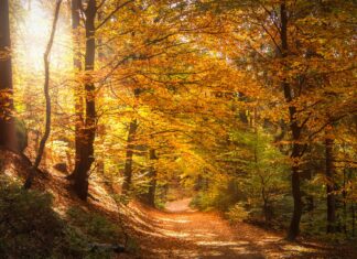 Dpcm 3 novembre: cosa cambia per la frequentazione della montagna e l’attivita’ del Cai