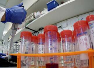 Coronavirus: 53 nuovi casi nell’aretino, 61 in degenza covid, 17 in terapia intensiva, 19 persone guarite, 0 decessi