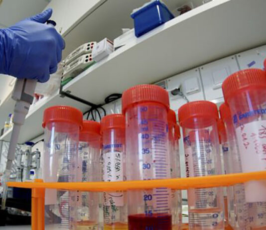 Coronavirus: 53 nuovi casi nell’aretino, 61 in degenza covid, 17 in terapia intensiva, 19 persone guarite, 0 decessi