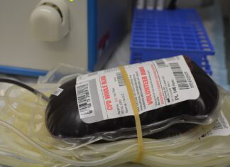 Carenza sangue, le Avis della Toscana al lavoro per intensificare la chiamata dei donatori