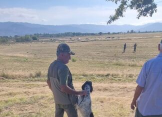 A Luculli il 21^ Trofeo cinofilo Città di Cortona