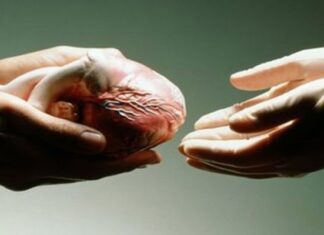 Tre donazioni di organi in una settimana nei presidi dell’Asl Toscana sud est