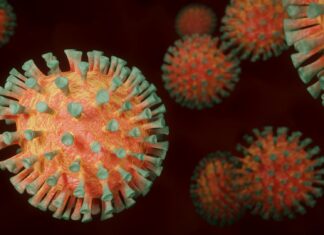 Coronavirus: 1263 persone positive nell’aretino, 41 in degenza covid, 11 in terapia intensiva
