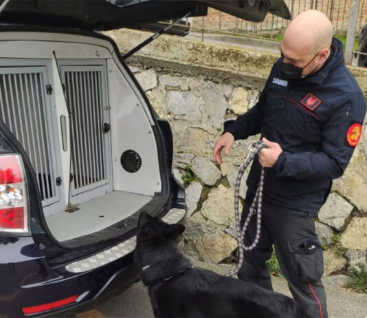 Guidava in stato di ebrezza, i carabinieri gli ritirano la patente. Continua l’azione di contrasto e di prevenzione dei reati sul territorio della valdichiana