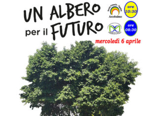 Civitella, “Un albero per il futuro”: gli studenti adottano l’Albero di Falcone