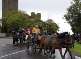 Cortona, carrozze trainate da cavalli sfilano in centro. Domenica un tour all’insegna dell’inclusione
