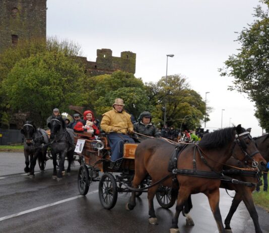 Cortona, carrozze trainate da cavalli sfilano in centro. Domenica un tour all’insegna dell’inclusione