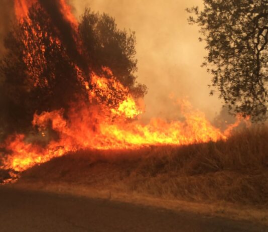 Terontola: il ringraziamento a vigili del fuoco e volontari antincendio al lavoro
