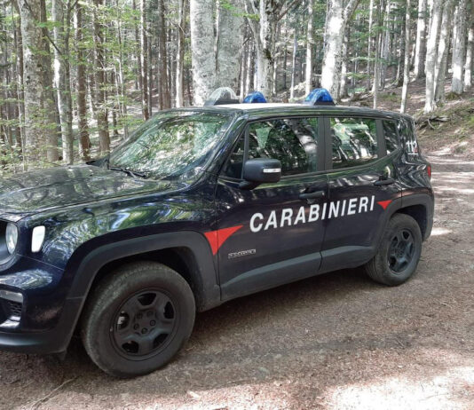 “Operazione Blofeld”: in valdichiana attivita’ antibracconaggio ed antitrappolaggio nelle colline aretine, scoperti e denunciati un uomo ed una donna