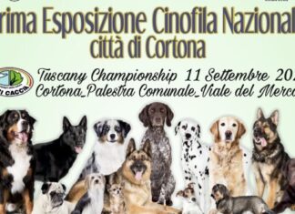 Cortona: domenica 11 settembre la prima esposizione canina nazionale