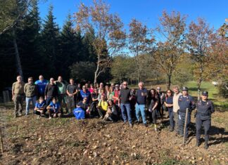 50 nuovi alberi a Monte Castel Giudeo: il regalo di nozze di Iris e Ben