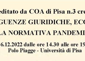 Le conseguenze giuridiche, economiche e sociali della normativa pandemica in Italia