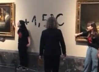 Spagna, ambientalisti si incollano a quadri di Goya