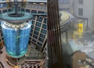 A Berlino esplode un enorme acquario da 1500 pesci tropicali