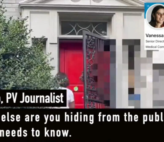 Chi è Vanessa Gelman?