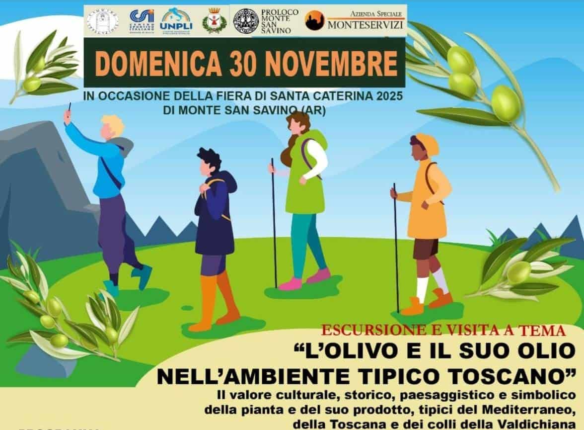 Domenica 30 novembre a Monte San Savino la camminata dell’olio