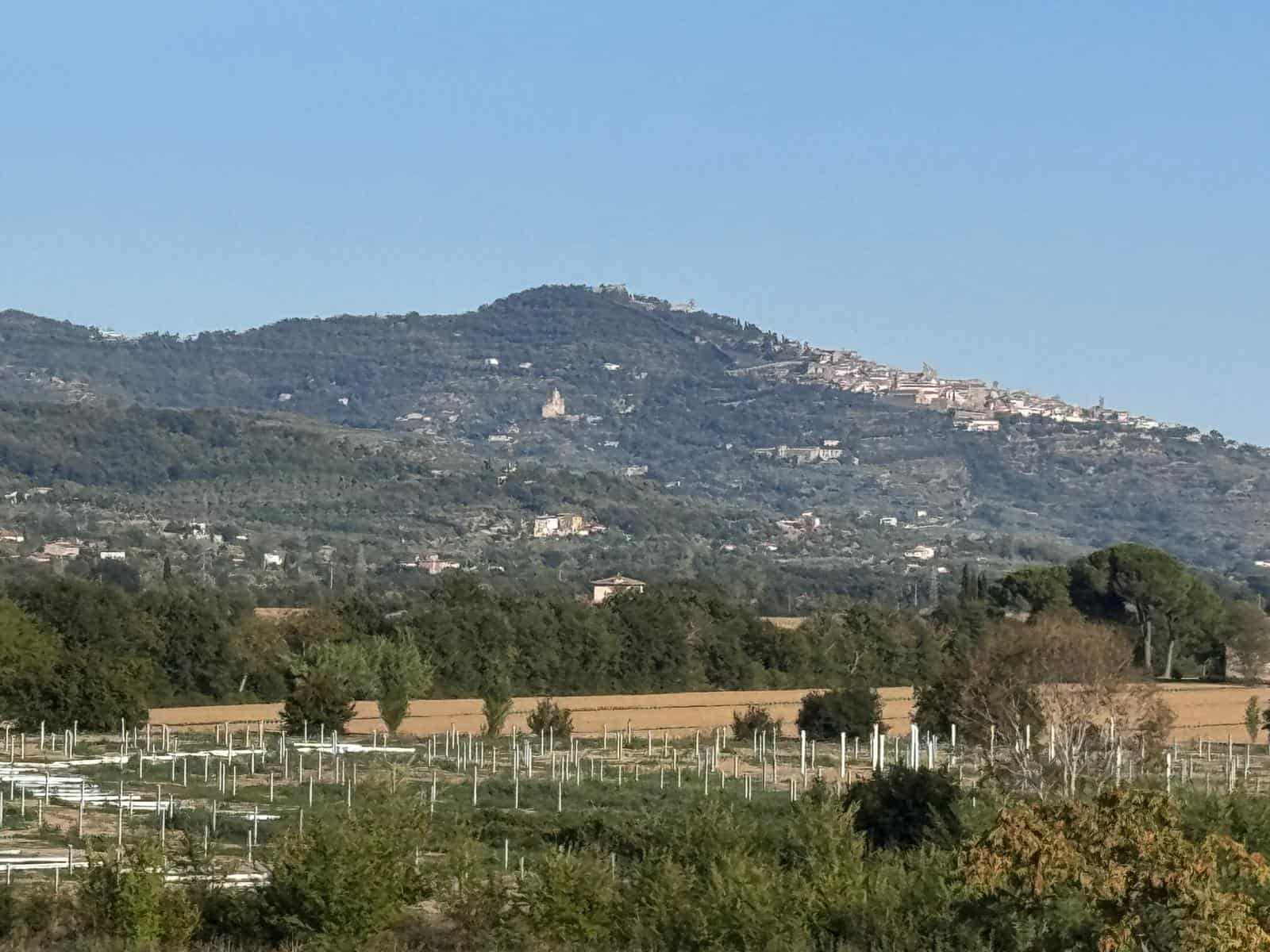 Castiglion Fiorentino e agrivoltaico: si può tutelare il territorio?