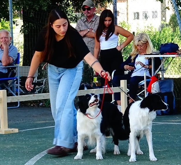 esposizione-canina-03.jpeg